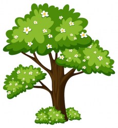 blooming-tree-with-green-leaves_1308-170178