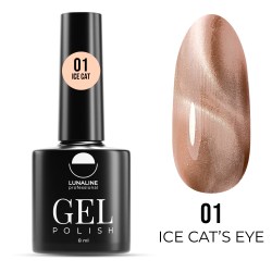 ICE01