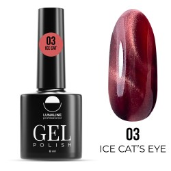 ICE03