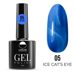 ICE05