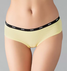 ms231giallo