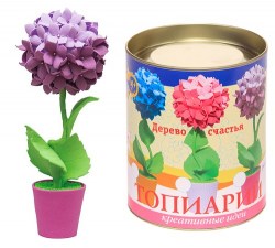 Гортензия